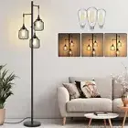 Dimmable Floor Lamp with 3 x 800LM LED Edison Bulbs