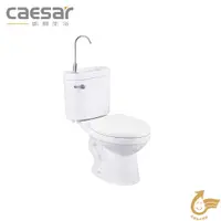 在飛比找蝦皮購物優惠-『洗樂適台南義林店』凱撒衛浴CAESAR 金級省水單段附洗手