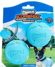 Chuckit! Rebounce Ball 2.5”