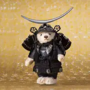 Steiff TEDDY Bear SAMURAI Black Crescent Moon Date Masamune type Armor