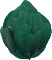 50 Pcs Dark Green Craft Feathers, Natural Assorted Colors Goose Feathers for Hat