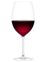 Plumm Vintage Red A Wine Glasses, Set of 2