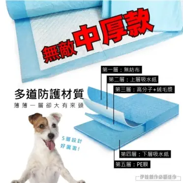 寵物尿布墊 (AH-97)-狗尿布 幼貓幼犬 尿墊 吸水 加厚款 狗廁所 犬用 寵物衛生墊