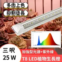 在飛比找momo購物網優惠-【JIUNPEY 君沛】2入組 T8 3呎 25W紫外線UV