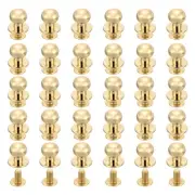 30Pcs 10mm Chicago Screws Round Head Button Leathercraft Rivets, Light Gold