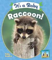 在飛比找博客來優惠-It’s a Baby Raccoon