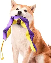 Treat Dispensing Dog Toys | Snake Shape Snuffle Toy | Dog Chew Toys for Puppy Dogs Foraging Instinct Training, Mental