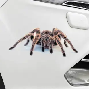 車身裝飾貼 划痕貼 汽車個性 3D立體蜘蛛車貼 蠍子裝飾貼 防水防曬划痕貼 油箱贴