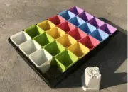 Succulents and Plant Seedling Propagation Kit - 24 pots and Tray