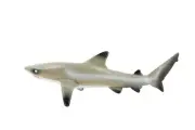 Black Tip Reef Shark Realistic Toy Figure, Model, Replica, Gift, 5" CH177 BB113