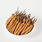 Cordyceps Sinensis,Wild Cordyceps,Chinese Caterpillar Fungus (Dong Chong Xia Cao) 100% Wild Whole Himalayan Cordyceps Sinensis (5g)