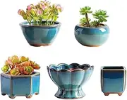 TOMVAES 5 pcs Ceramic Succulent Pot, Small Glazed Zisha Bonsai Cactus Plant Flower Pots Planter,Growing Nursery Containers,Light Blue