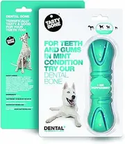 Tasty Bone Nylon Dental Bone Chew Toy