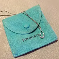 在飛比找蝦皮購物優惠-TIFFANY & Co. 水滴 純銀925 項鍊