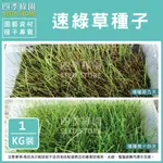 速綠草種子1KG(超強配方) 為5種速生草種混合 可快速建立草坪與綠化 全年可種植~草皮種子【四季綠園】