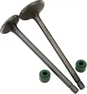 Motorcycle 2PC Intake and Exhaust Valves for CG110 CG125 CB125J CB125S XL125 14711-383-000 14721383000 4-Stroke Engine Accessories