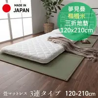 在飛比找蝦皮購物優惠-日本代購 空運 夢見疊 榻榻米 折疊 床墊 地墊 120x2