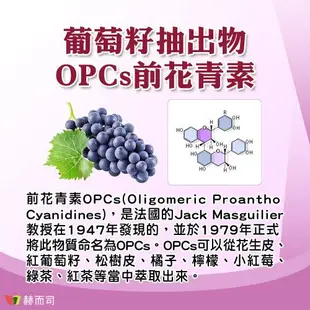 【赫而司】VITA OPC-3養顏素葡萄籽複方(60顆*1罐)前花青素+兒茶素EGCG+維生素C全素食膠囊