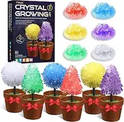 PIBEX Crystal Growing Science Kit for Kids – Grow 3 Crystal Trees & 3 Flowers in 24 Hours, STEM DIY Chemistry Experiment Set, Educational Toy for Boys & Girls Ages 8-12