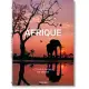 National Geographic. Le Tour Du Monde En 125 Ans. l’’Afrique
