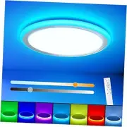RGB Led Flush Mount Ceiling Light with Remote Control, RGB ( Red, Green, Blue)