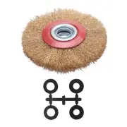 Wire Brush Wheel for Bench Grinder Polish + Reducers Adaptor Rings,6inch2251