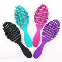 在飛比找蝦皮購物優惠-1pcs wet brush Comb tool barbe