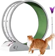 Cat Wheel Exerciser - Weight Loss Treadmill for Kitten - Large Cats Exercise Running Wheel with Teaser, Kitten Treadmill for Indoors
