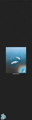 Fruity Griptape (9"x33") Sam Johnson Swans Single Sheet