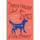 The Mountaintop School for Dogs and Other Second Chances