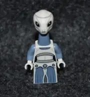 TAUN WE ~ Star Wars Minifigure - New LEGO