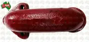 Exhaust Elbow Perk Vertical Inlet Fits for Massey Ferguson 178 175 174 184 194