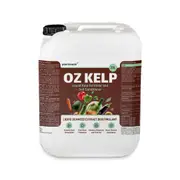 OZ KELP - Liquid Bull Kelp Bio Stimulant for Plants 20 L - Liquid Kelp Fertiliser - Seaweed Fertiliser