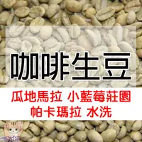 在飛比找蝦皮購物優惠-1kg生豆 瓜地馬拉 小藍莓莊園 帕卡瑪拉 水洗 - 世界咖