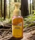 Bath & Body Works Gentle Foaming Hand Soap ICED LEMON POUNDCAKE X 1