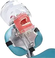 Dental Phantom Head Model, Oral Teaching Model Manikin Model Dental Simulator Education Manikin for Training, Fix to Chair