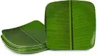 Banana Square Leaf Melamine Plate ( 11 X 11 Inch, Full Plate) 6pcs