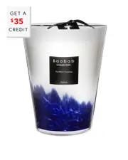 Baobab Collection Max 24 Feathers Touareg Candle with $35 Credit