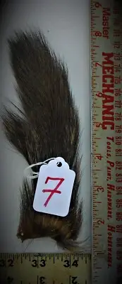 Colonel Beauxs Premium Select "JUMBO" eastern woodchuck tail, 4.95!