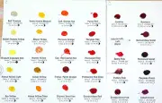 DANIEL SMITH EXTRA FINE WATERCOLOR 59-DOT TRY-IT CARD-C