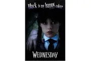 Wednesday Black Is My Happy Colour Poster (Black/Purple) (One Size)