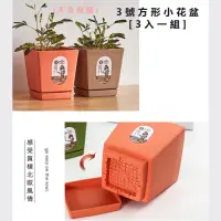 在飛比找momo購物網優惠-【品屋】3號方形小花盆3入一組(方形盆 多肉盆 小花盆 迷你