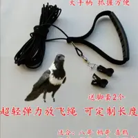 在飛比找蝦皮購物優惠-鸚鵡外出繩 鸚鵡腳鏈 鸚鵡牽繩 鸚鵡飛行繩 鸚鵡放飛繩 鳥用