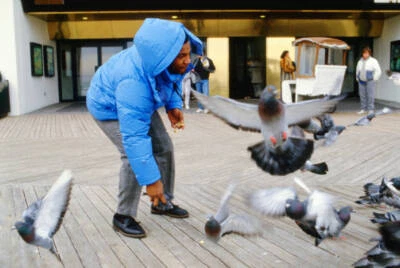 Mike Tyson feeds pigeons while walking on the Atlantic City boardw- Old Photo