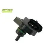 RAE MAP Sensor - MP146