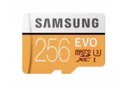 Samsung Evo 256GB Micro SD Card SDXC UHS-1 100MB/s Memory Card 4K U3 (Brand New)