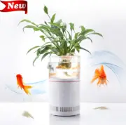 Aquarium Fish Tank Mini Betta Tank with LED Light, Filter and Air Purifier
