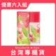 Elizabeth Arden 雅頓 綠茶荔枝萊姆香水 100ML 優惠六入組 (台灣專櫃貨)