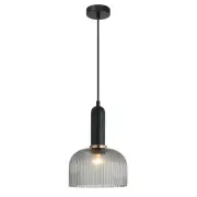 VINTAJ Pendant Lamp Light Interior ES Black Smoky Glass Dome OD200mm
