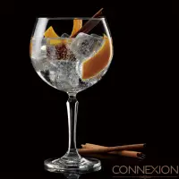 在飛比找momo購物網優惠-【Ocean】琴酒杯 Gin Tonic Connexion